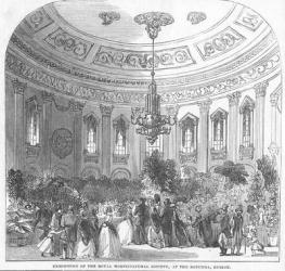 Exhibition of the Royal Horticultural Society, at the Rotunda, Dublin, illustration from 'The Illustrated London News', 1854 (engraving) | Obraz na stenu