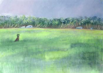 Rice Fields, Goa, India, 1997 (oil on paper) | Obraz na stenu