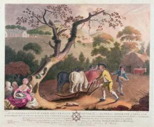 View of ploughing, sowing flax seed and harrowing, 1791 (colour litho) | Obraz na stenu