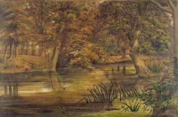 Back Water of the Bratford, 1864 (w/c and pencil on paper) | Obraz na stenu