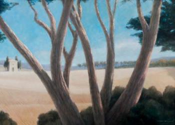 Pines near Pienza, 2012 (acrylic on canvas) | Obraz na stenu