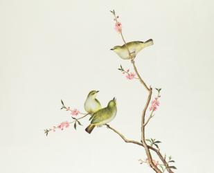 White-Eye bird, Ch'ien-lung period (1736-1796) (colour on paper) | Obraz na stenu
