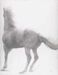 Kicking Off, Series 2, 2012 (graphite on paper) | Obraz na stenu