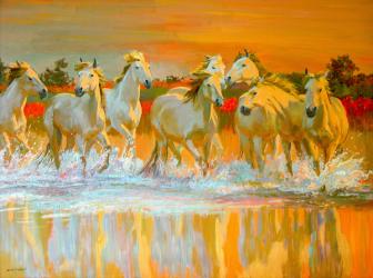 Camargue (oil on board) | Obraz na stenu