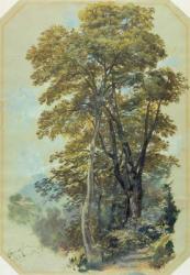 Edward Lear, Corpo di Cava, 28 June, 1838 (oil on gray wove paper) | Obraz na stenu