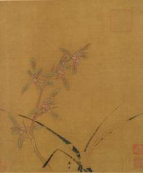 Orchids (ink on silk) | Obraz na stenu