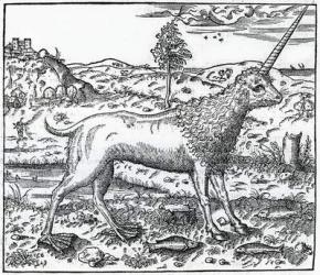 a Campchurch Unicorn, illustration from 'La Cosmographie universelle' by Andre Thevet, 1575 (woodcut) | Obraz na stenu