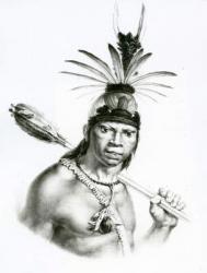 Chief Camacan Mongoyo from 'A Pitoresque and Historical Trip to Brazil' by Jean Baptist Debret, 1834 (litho) | Obraz na stenu