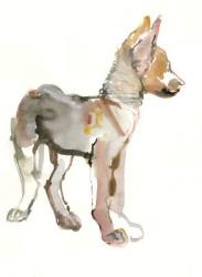 Waggle (Arabian Wolf Pup), 2011, (watercolour and gouache on paper) | Obraz na stenu