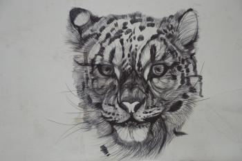 Snow Leopard,2016,(bic biro on paper) | Obraz na stenu