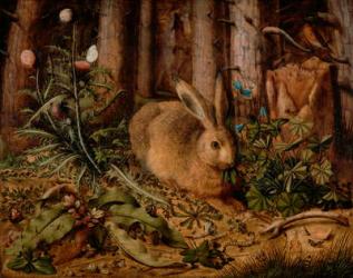 A Hare in the Forest, c. 1585 (oil on panel) | Obraz na stenu