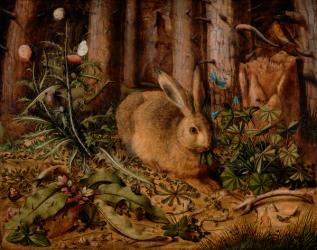 A Hare in the Forest, c. 1585 (oil on panel) | Obraz na stenu