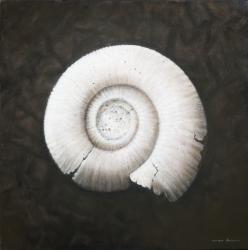 Amononite, 2012 (acrylic on canvas) | Obraz na stenu