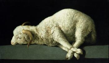 Agnus Dei, c.1635-40 (oil on canvas) | Obraz na stenu