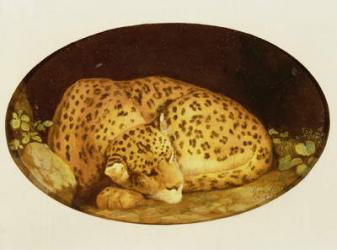 Sleeping Leopard, 1777 (enamel on Wedgwood biscuit earthenware) | Obraz na stenu
