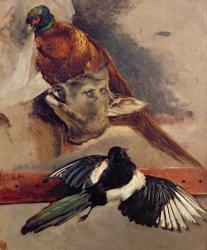 Still Life of Game, c.1812-16 (oil on canvas) | Obraz na stenu