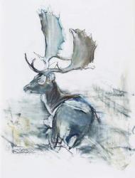 Buck in the Grass, 2006 (charcoal & conte on paper) | Obraz na stenu