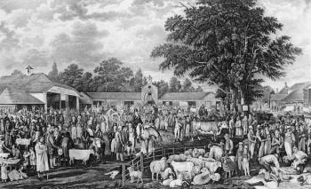 Woburn Sheepshearing, engraved by Thomas Morris, 1811 (engraving) | Obraz na stenu