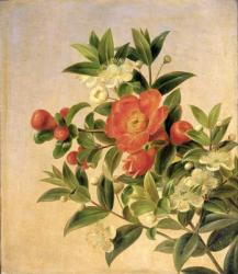Flowers, 1835 (oil on canvas) | Obraz na stenu