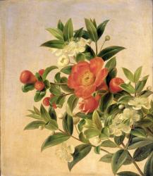 Flowers, 1835 (oil on canvas) | Obraz na stenu