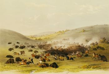 Buffalo Hunt, Surround, c.1832 (coloured engraving) | Obraz na stenu