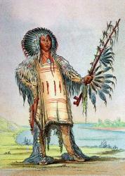 Mandan Indian Ha-Na-Tah-Muah, Wolf chief (colour litho) | Obraz na stenu