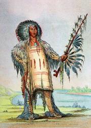 Mandan Indian Ha-Na-Tah-Muah, Wolf chief (colour litho) | Obraz na stenu