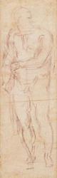 Study for Adam in 'The Expulsion', 1508-12 (charcoal on paper) (recto) | Obraz na stenu