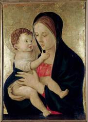 Madonna and Child, c.1475 (tempera on panel) | Obraz na stenu
