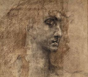 Head of an Angel, 1887 (charcoal & red crayon on paper) | Obraz na stenu