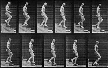 Man descending stairs, from 'Animal Locomotion', 1887 (b/w photo) | Obraz na stenu