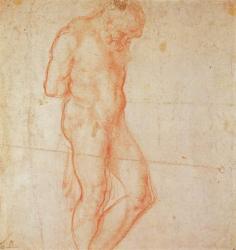 Study of a Nude (red chalk on paper) | Obraz na stenu
