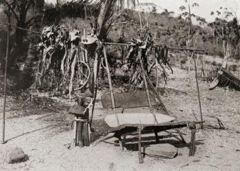 A death chair from Koita, Papua New Guinea, Oceania. The body of a dead man was placed in a sitting position on this prior to burial and his two nearest relatives sat on either side of it, then after an hour's drum beating and dirge singing the dead man's | Obraz na stenu