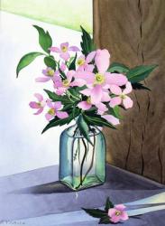 Still Life Pink Clematis (watercolour on paper) | Obraz na stenu