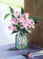 Still Life Pink Clematis (watercolour on paper) | Obraz na stenu