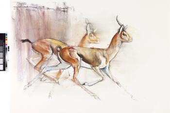 Running Arabian Gazelles, 2010 (oil on paper) | Obraz na stenu