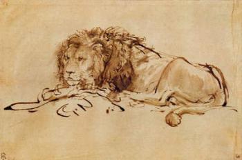 Lion Resting (pen and ink on paper) | Obraz na stenu