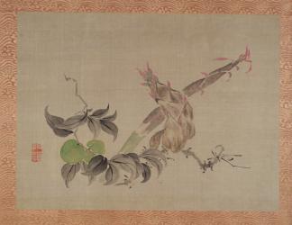 Apple and flowering plant, 1851 (watercolour on silk) | Obraz na stenu
