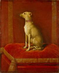 One of Frederick II's Italian greyhounds (oil on canvas) | Obraz na stenu