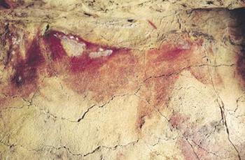 Representation of an animal, c.15000 BC (cave painting) | Obraz na stenu