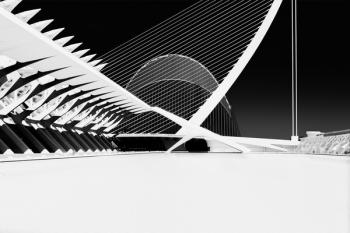 City of Arts and Sciences Part 2, 2016, (Direct Print on Brushed Aluminium, BUTLERFINISH® Look) | Obraz na stenu