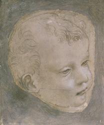 Head of a Child (pencil on paper) | Obraz na stenu