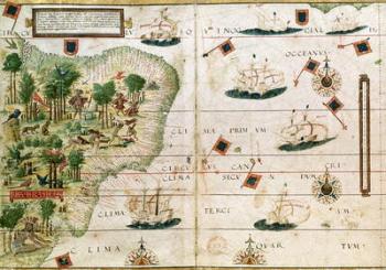 Brazil from the 'Miller Atlas' by Pedro Reinel, c.1519 (see 199955 for detail) | Obraz na stenu