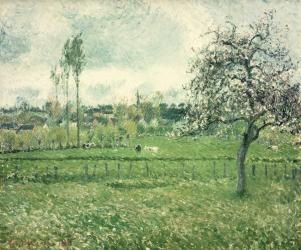 Meadow at Eragny, 1885 | Obraz na stenu