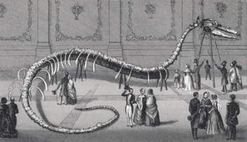 114 foot long Skeleton of Fake Sea Serpent 'Hydrarchos harlani', c.1845 (etching) | Obraz na stenu