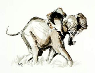 elephant trot, 2013, (mixed media on paper) | Obraz na stenu