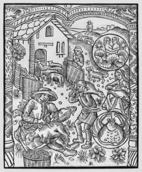 June, sheep shearing, Gemini, illustration from the 'Almanach des Bergers', 1491 (xylograph) (b/w photo) | Obraz na stenu