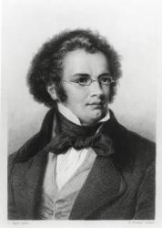 Portrait of Franz Schubert (1797-1828) engraved by H. Roemer (engraving) (b/w photo) | Obraz na stenu