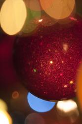 Holiday Spirit | Obraz na stenu