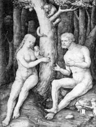 Adam and Eve, c.1506 (engraving) | Obraz na stenu
